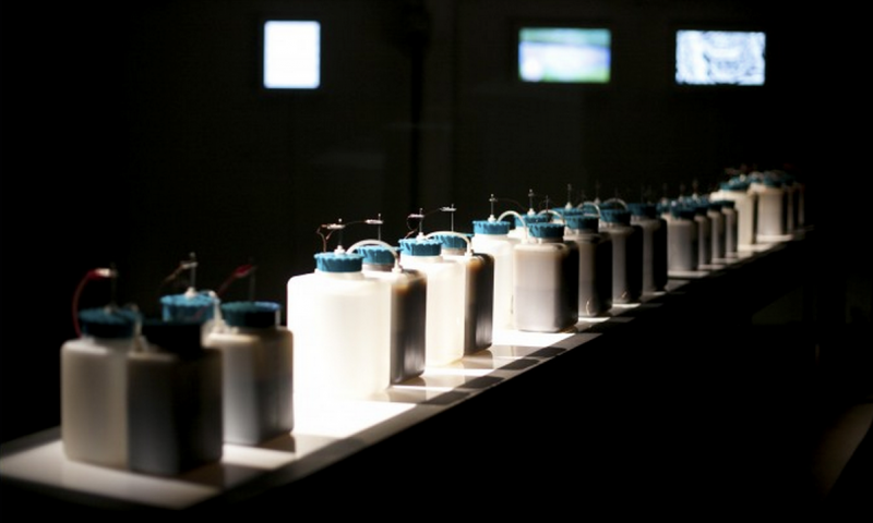 Bacterial Cells at Art of Resilience exhibition, RIXC Media Space, Riga, Latvia. Photo: Didzis Grodzs